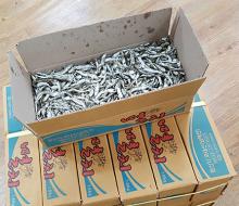 ���(������)1.5kg 